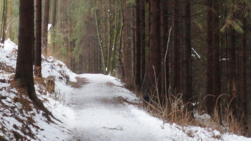 Tips for Running in Cold Weather