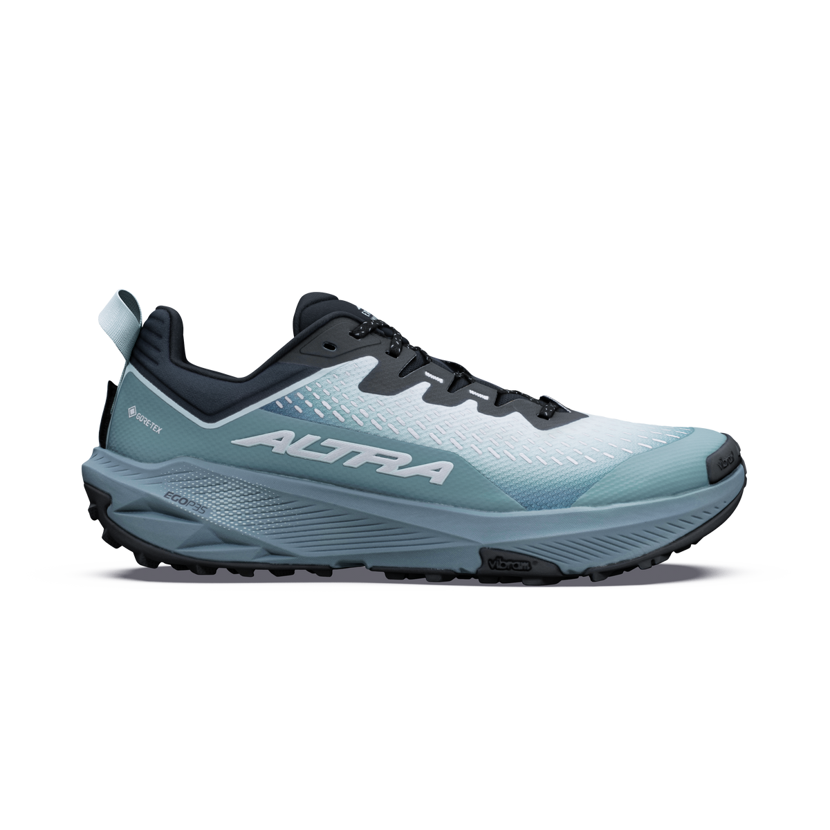 Men's Experience Wild 3+ GTX Blue Hour/Dawn - ver - 1