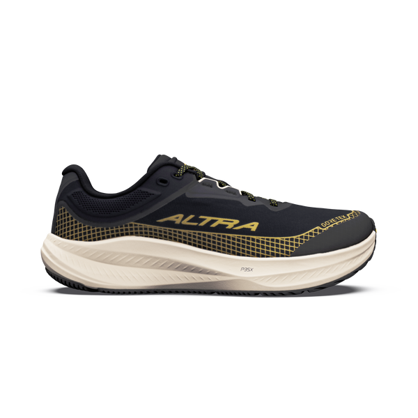 Chaussures Torin 9 GTX Pour Femmes 