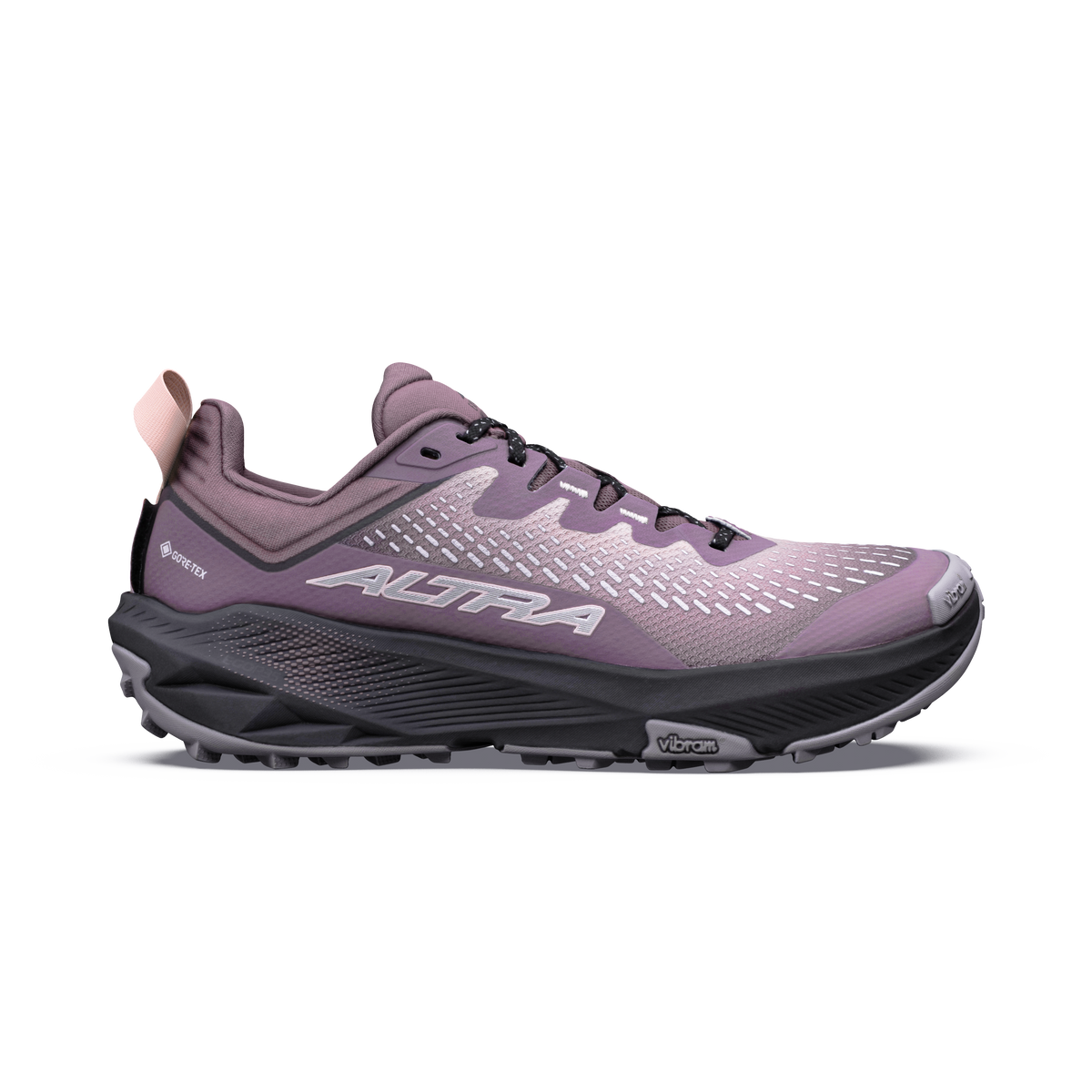 Chaussures Experience Wild 3+ GTX Pour Femmes Blue Hour/Dawn - 1