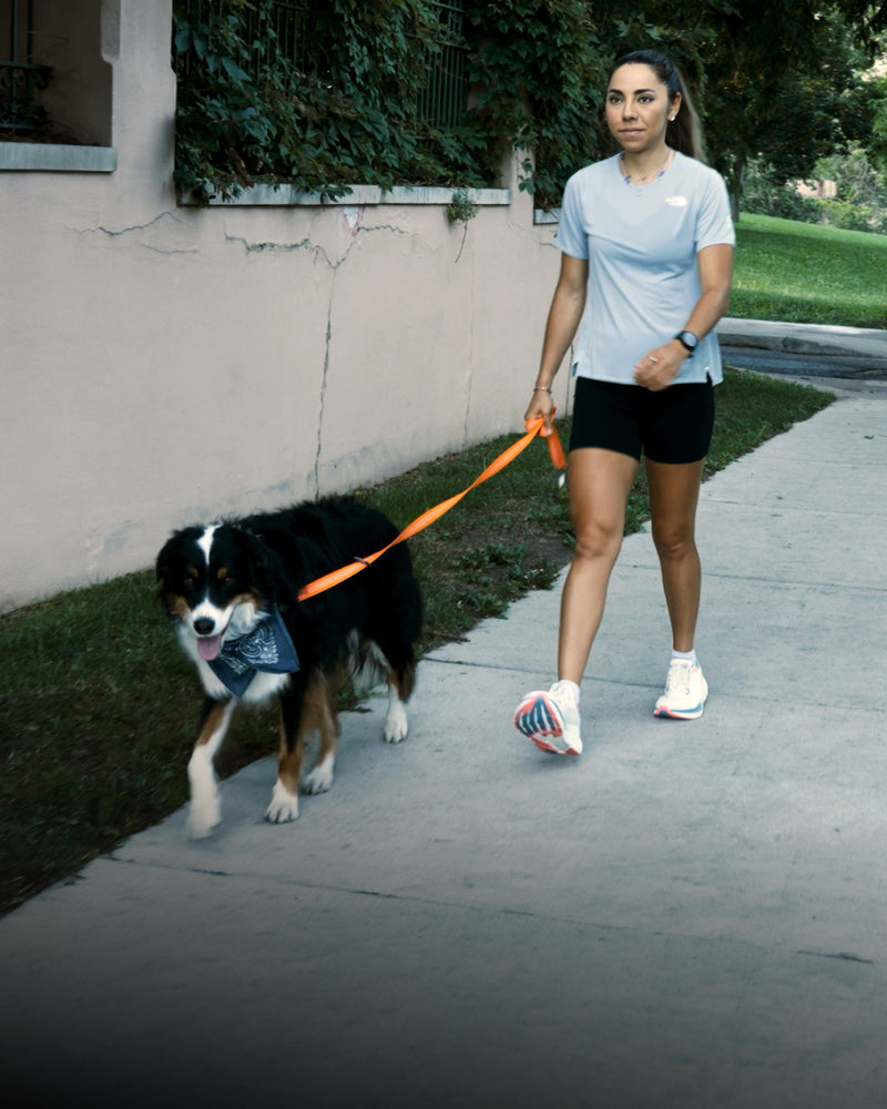 Walking